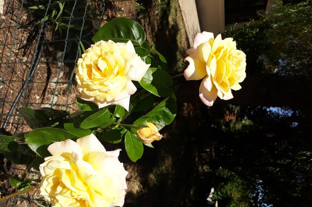 Photo of Others in La Jarne