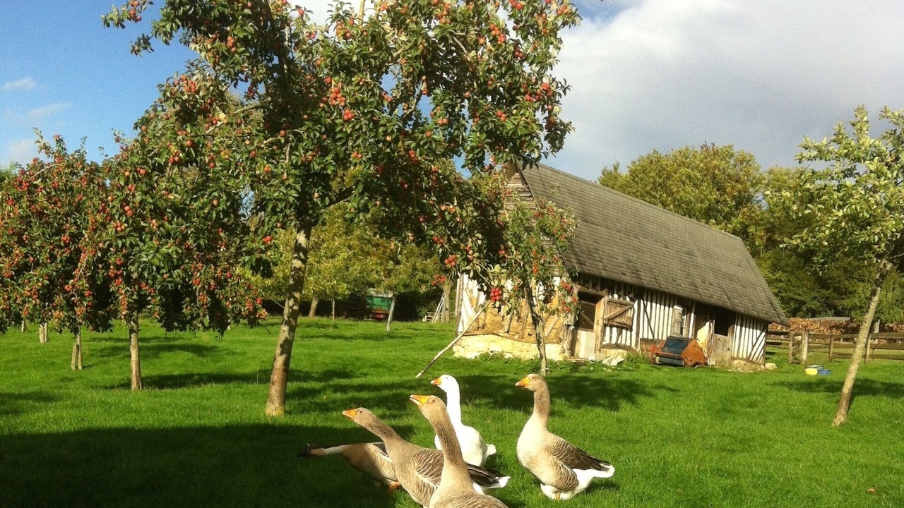 Photo of Outdoor in Manneville-la-Pipard