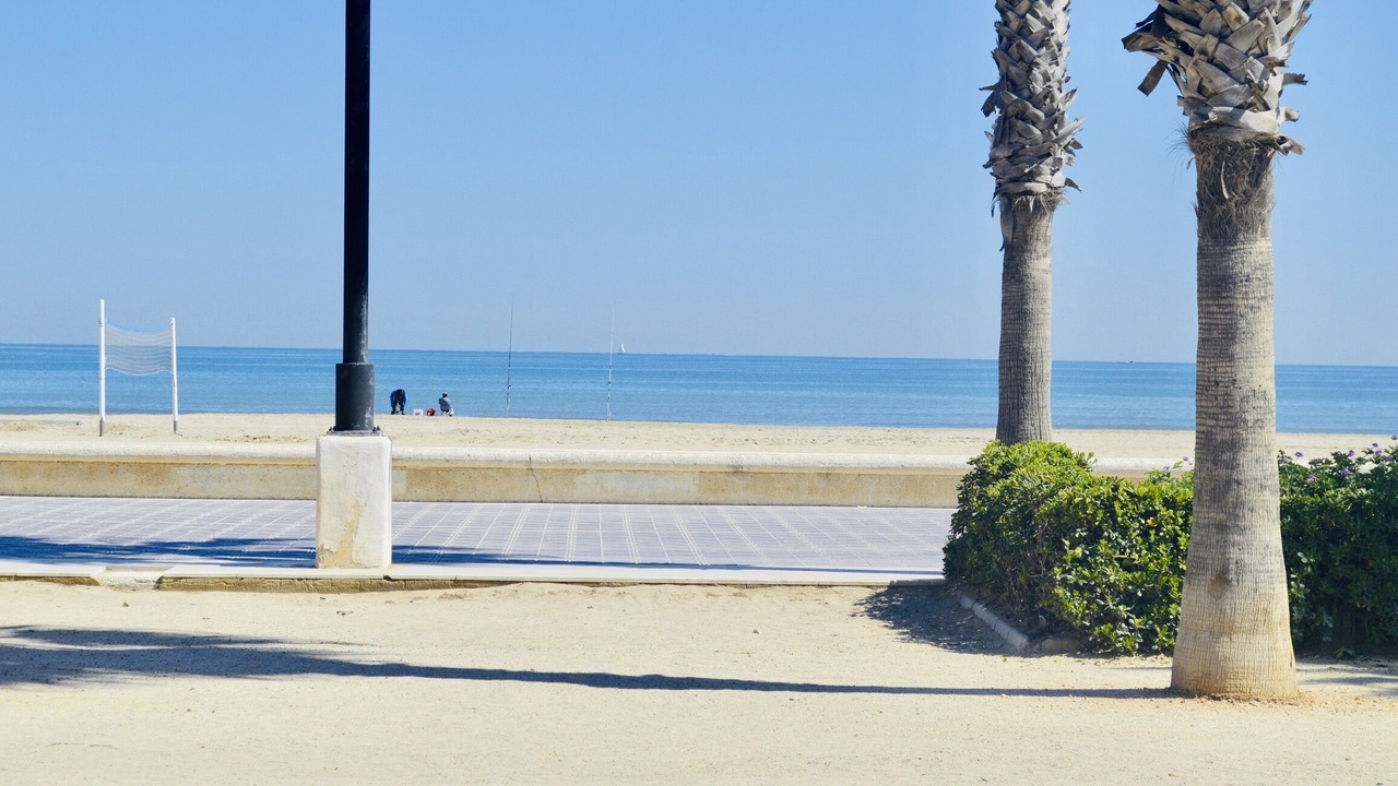 Photo of Others in Alboraya