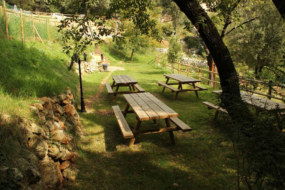 Photo of Outdoor in La Nou