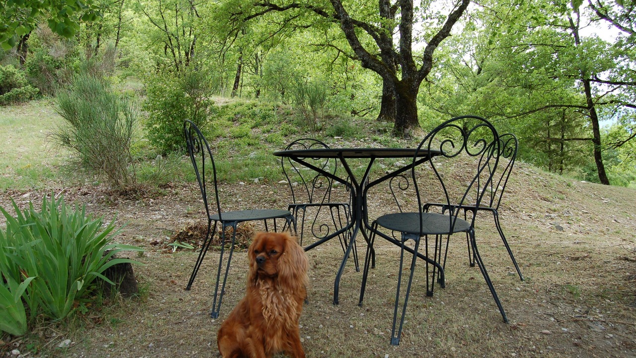 Photo of Outdoor in Reilhanette