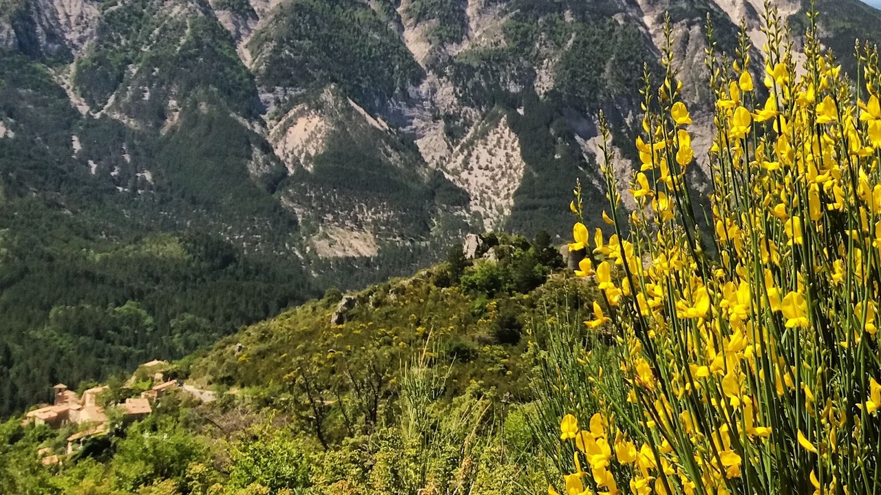 Photo of Others in Reilhanette