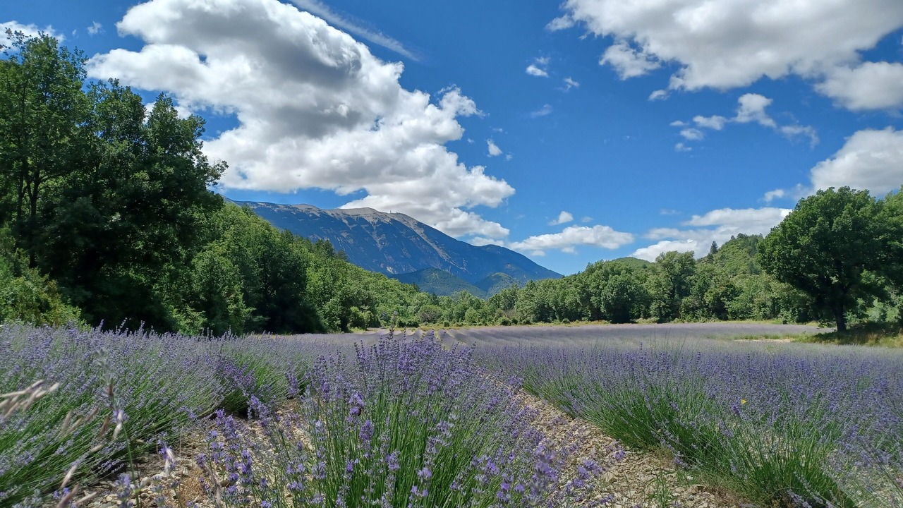 Photo of Outdoor in Reilhanette