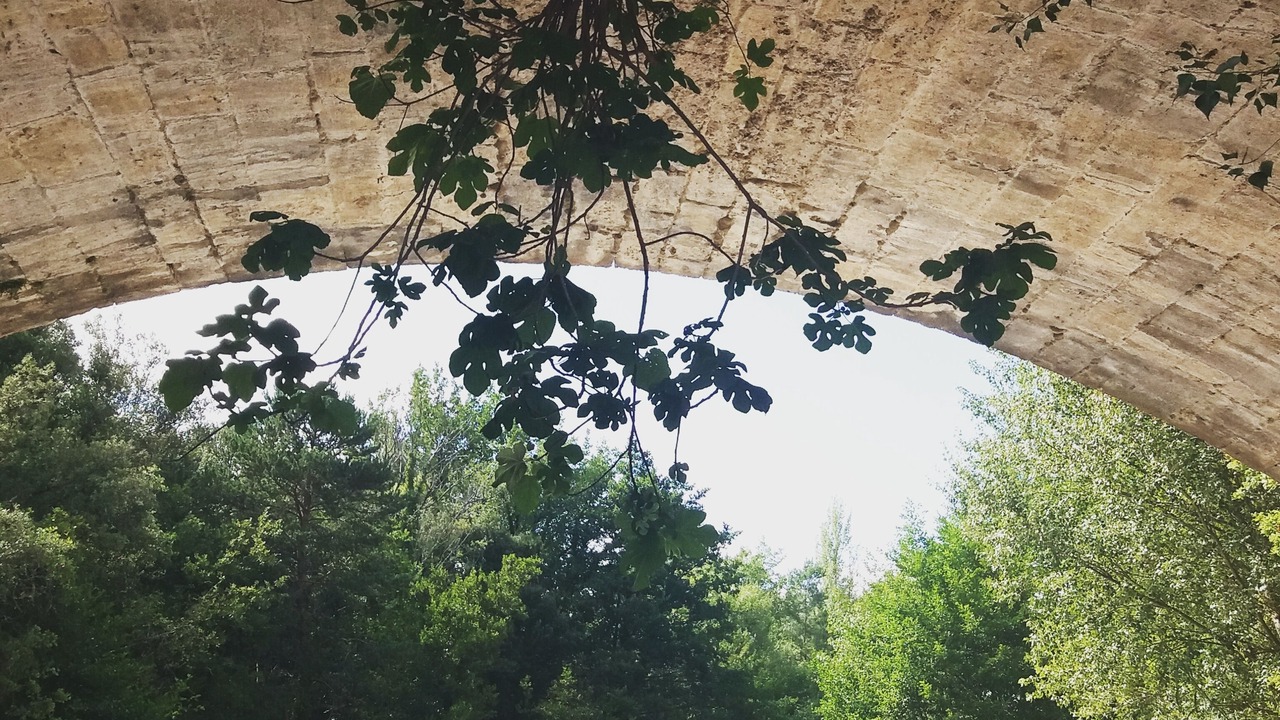 Photo of Others in Reilhanette