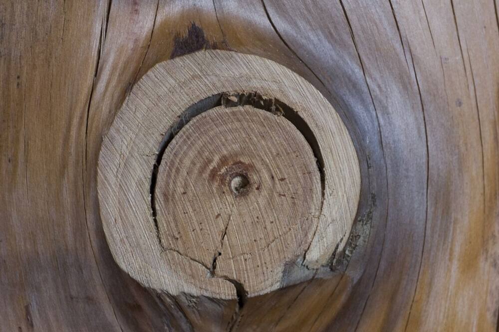 Photo of Others in Superbolquere