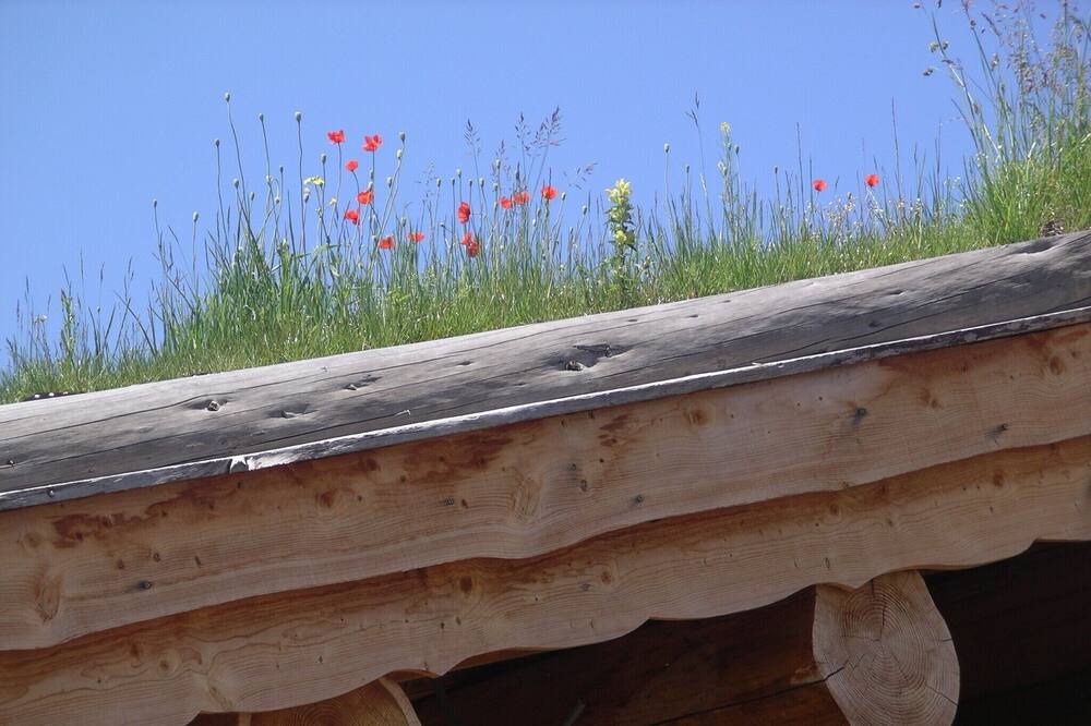 Photo of Outdoor in Superbolquere