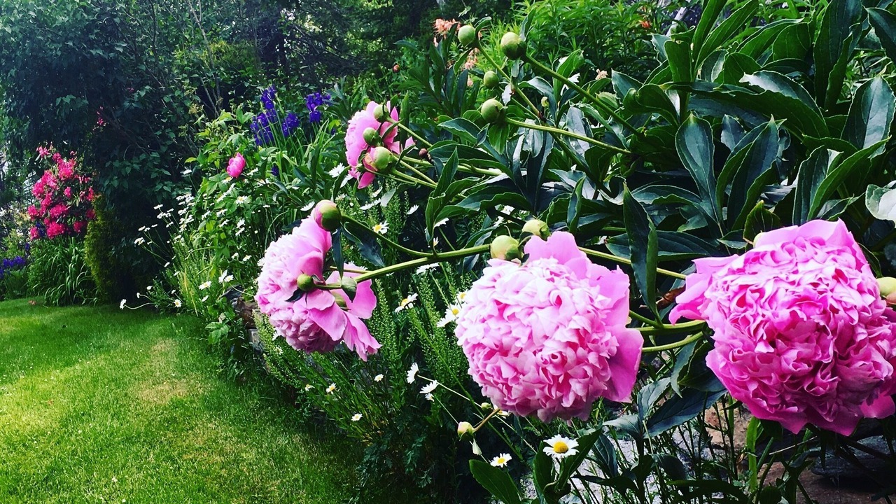 Photo of Outdoor in Bayville