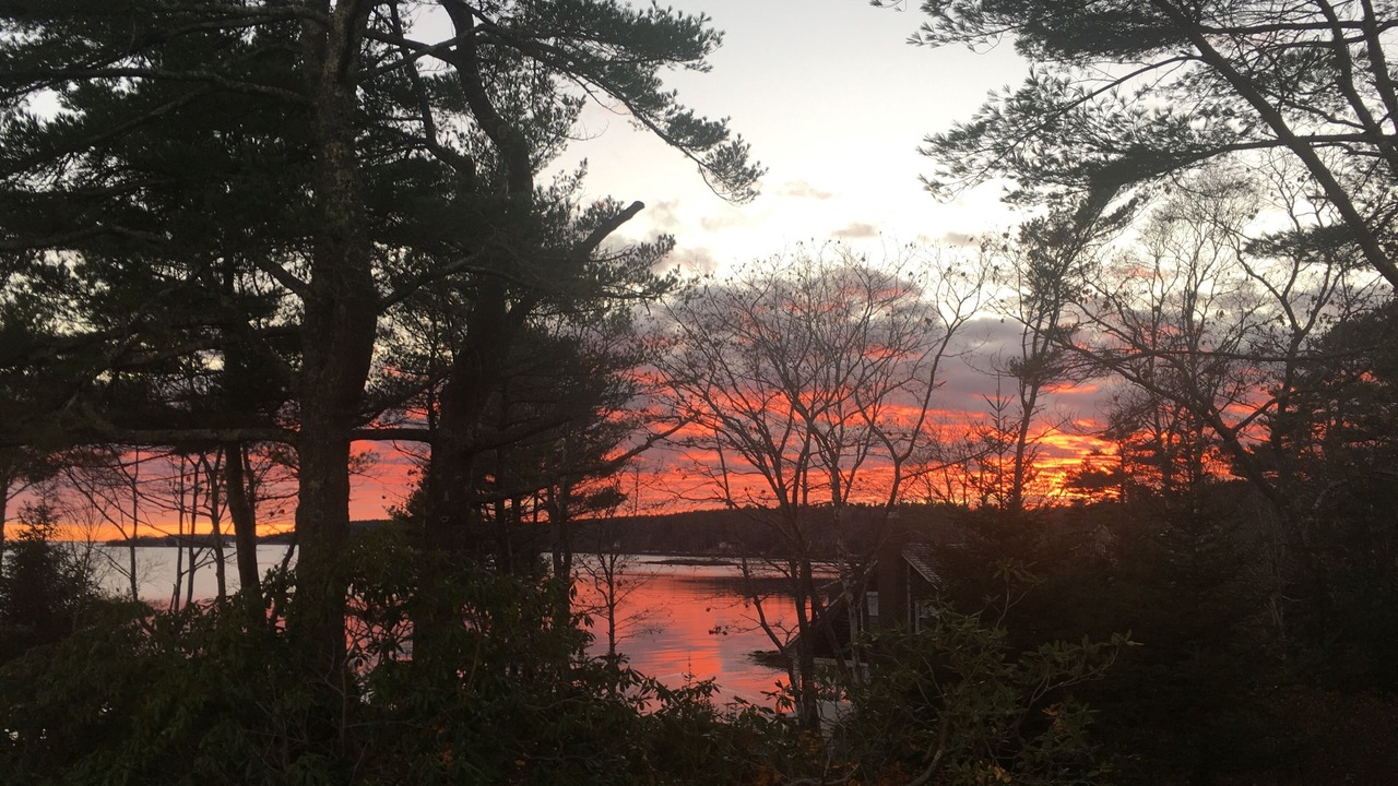 Photo of Outdoor in Bayville