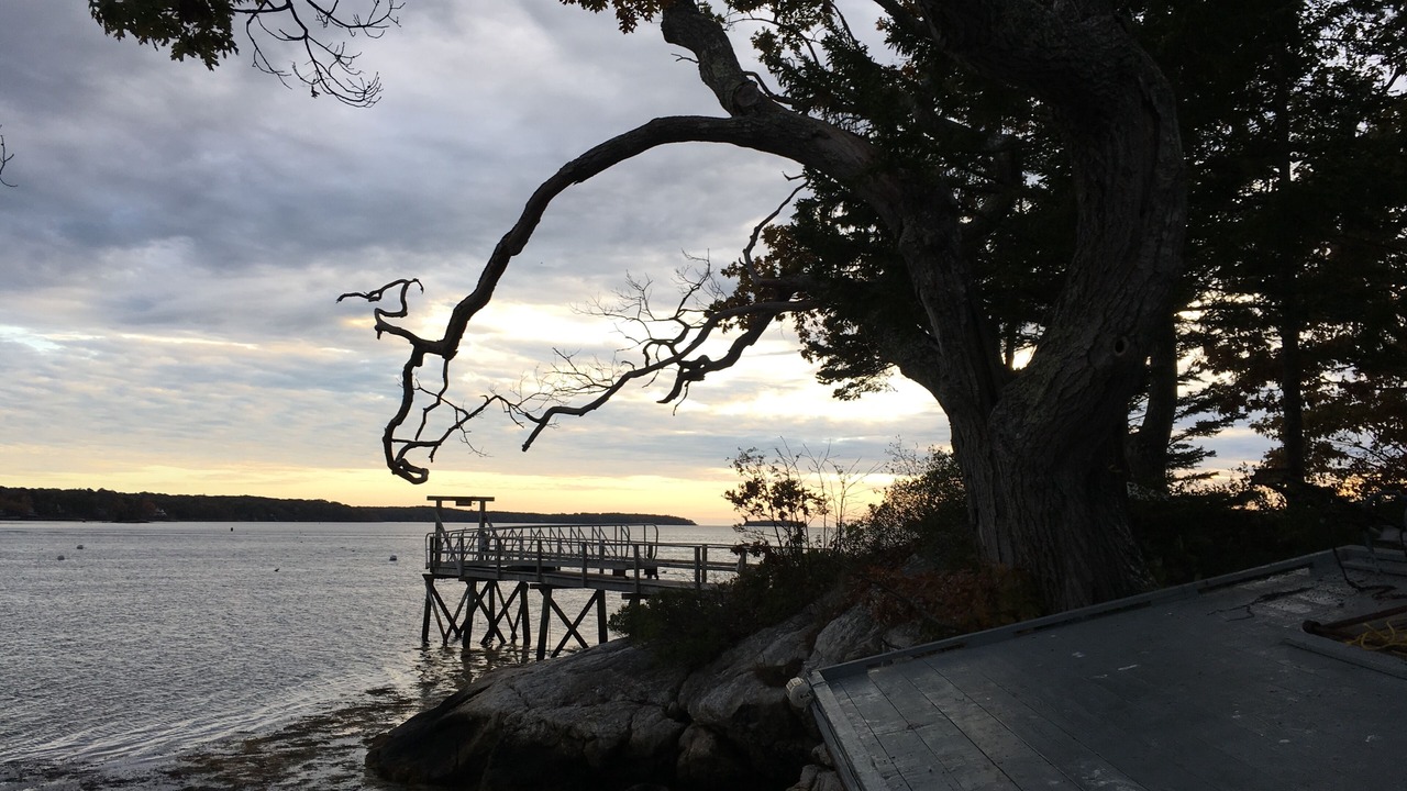 Photo of Others in Bayville