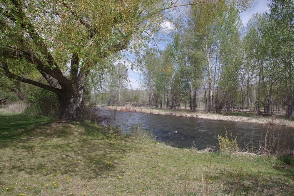 Photo of Outdoor in Conner