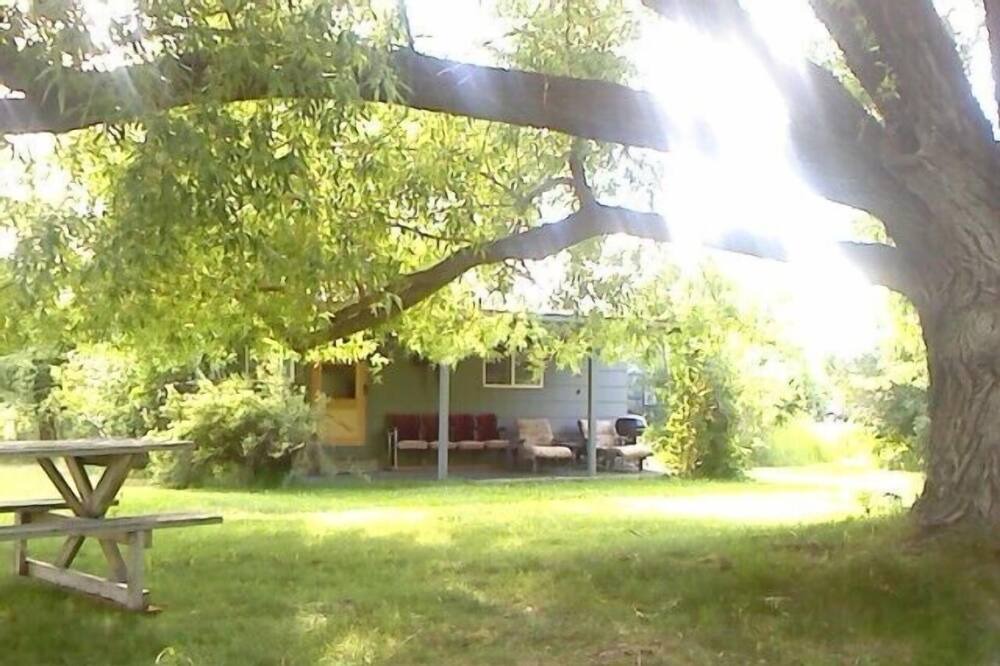 Photo of Outdoor in Conner