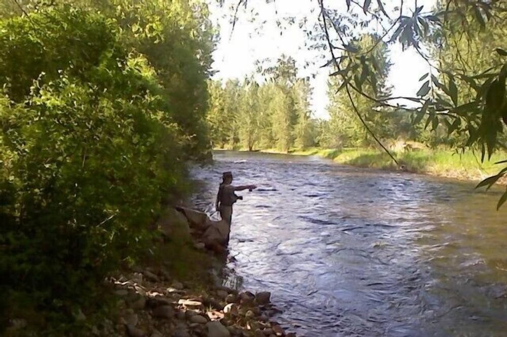 Photo of Others in Conner