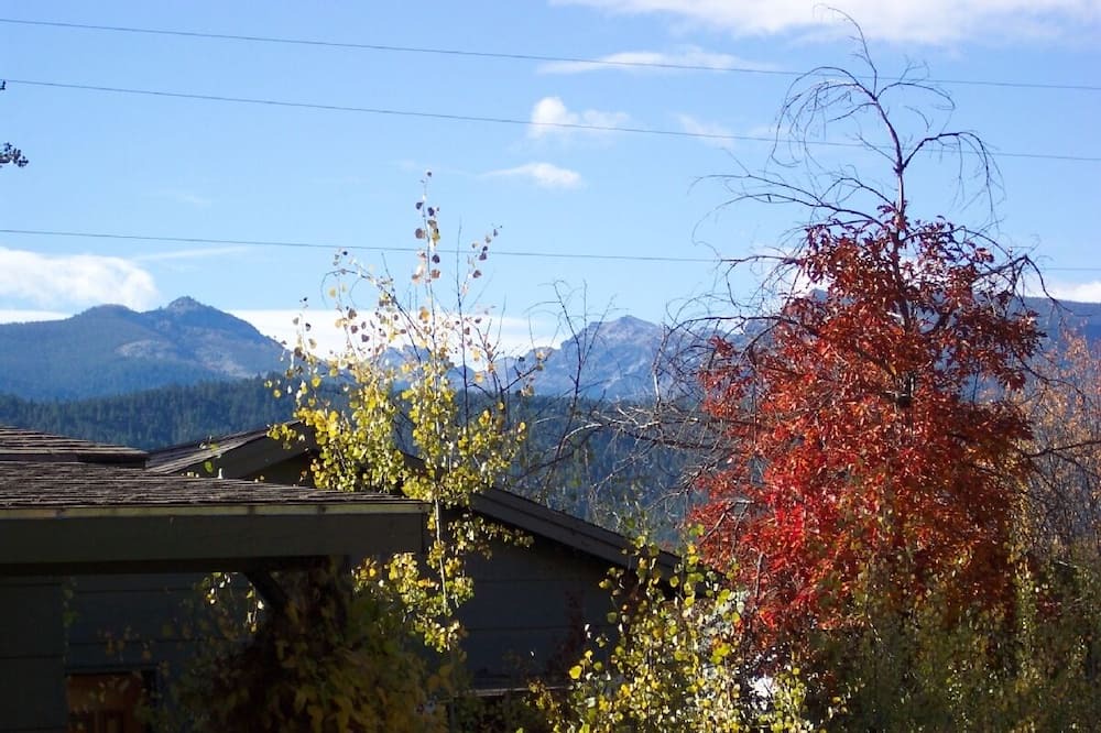 Photo of Outdoor in Conner