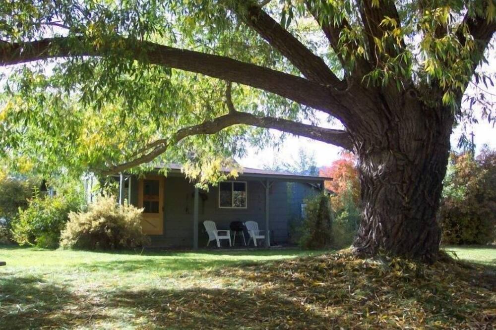 Photo of Outdoor in Conner