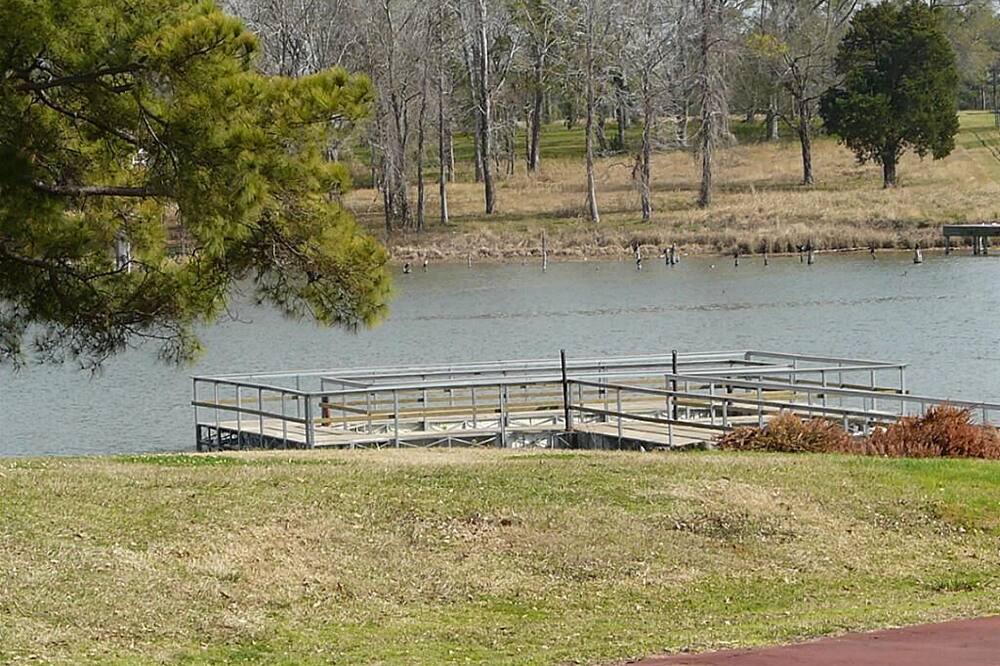 Photo of Others in Seven Coves