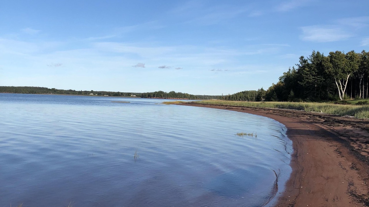 Photo of Others in Belle River
