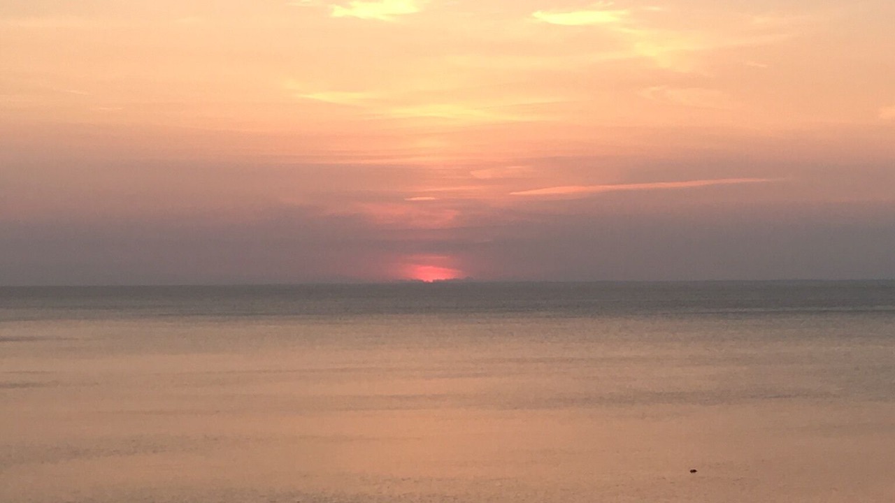 Photo of Others in Baiting Hollow