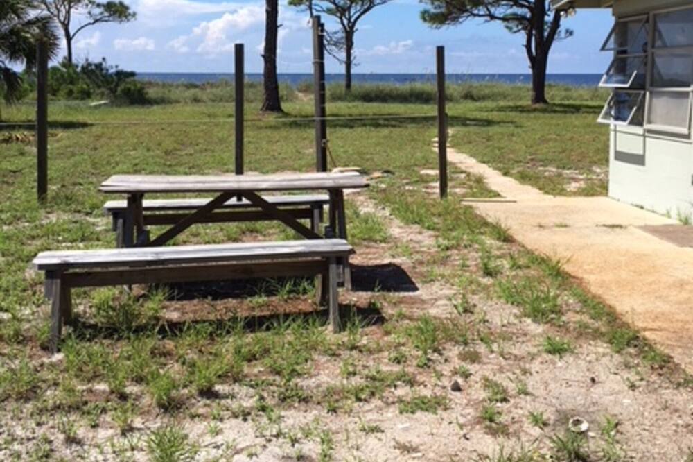 Photo of Outdoor in Alligator Point