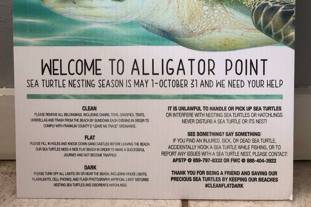 Photo of Others in Alligator Point
