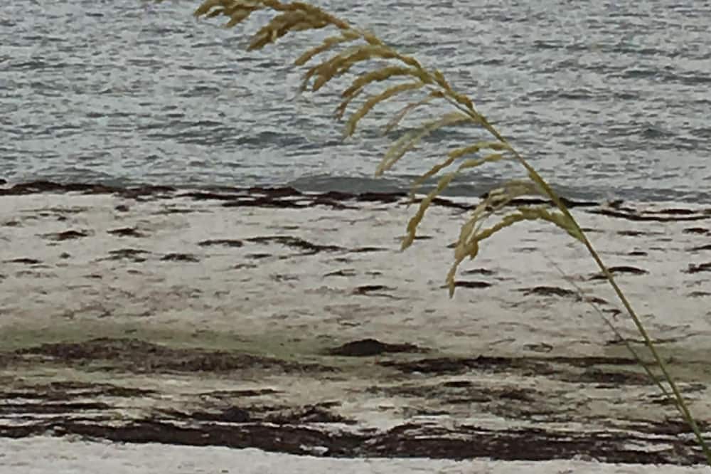 Photo of Others in Alligator Point