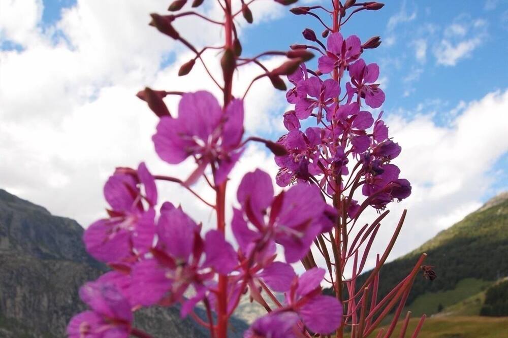 Photo of Outdoor in Andermatt
