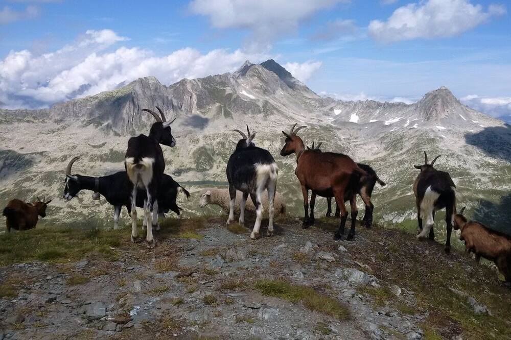 Photo of Others in Andermatt