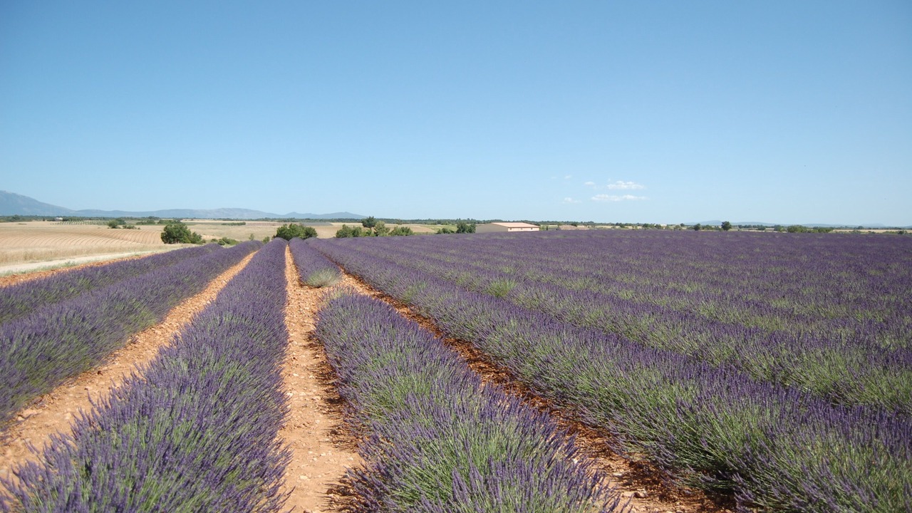Photo of Others in Le Val