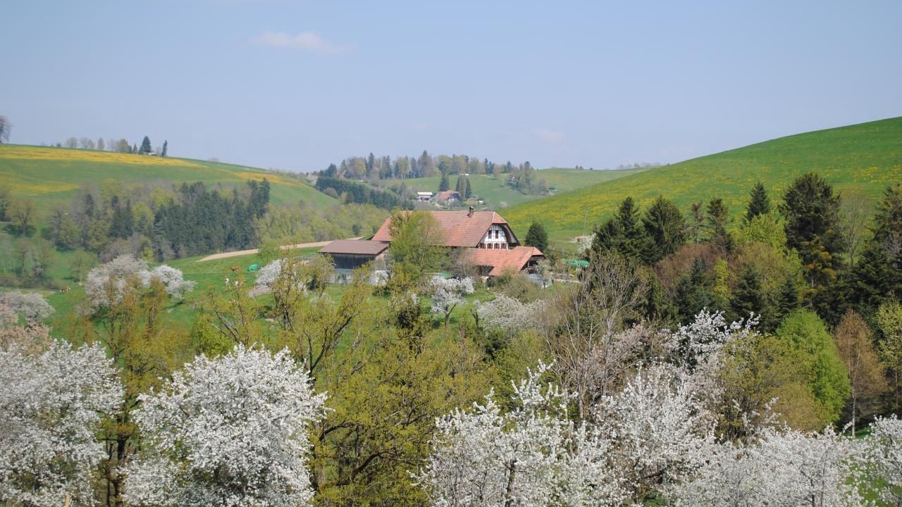 Photo of Others in Oberbalm