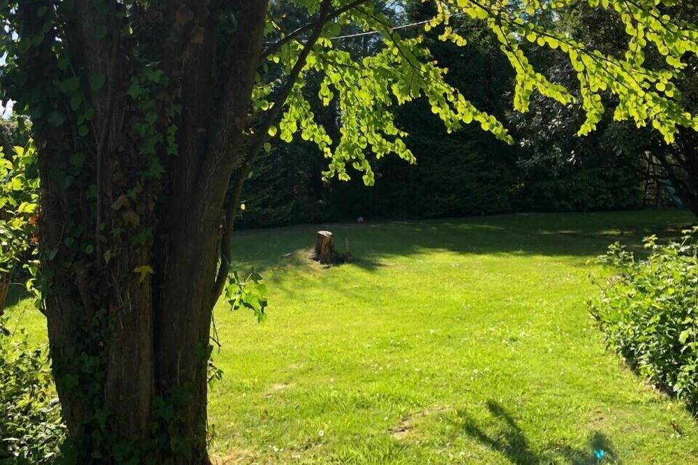 Photo of Outdoor in Lammerville