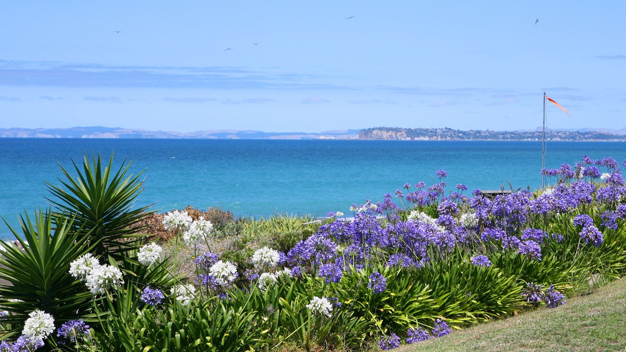 Photo of Others in Eskdale