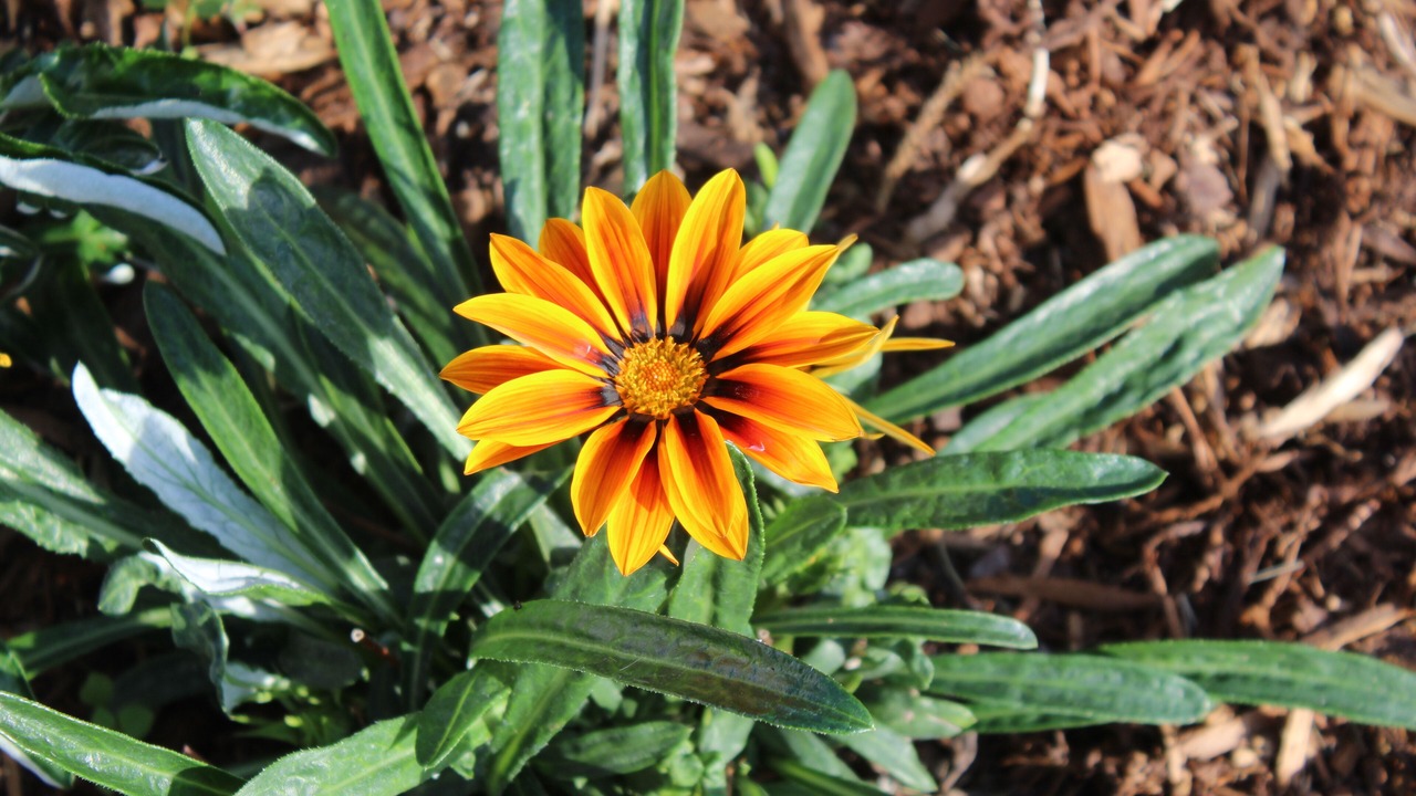 Photo of Outdoor in Fenton Street