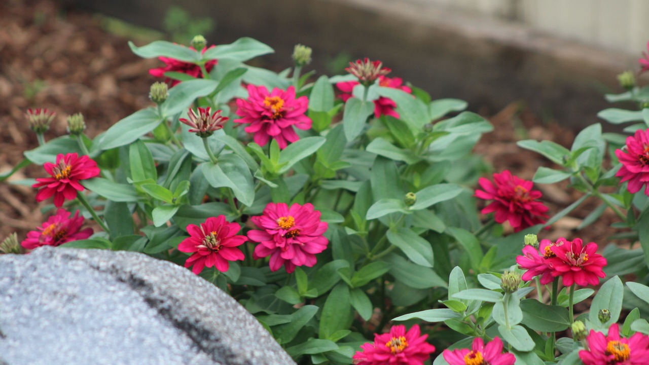 Photo of Outdoor in Fenton Street