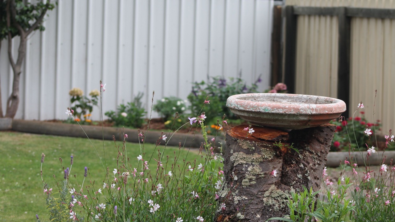 Photo of Outdoor in Fenton Street