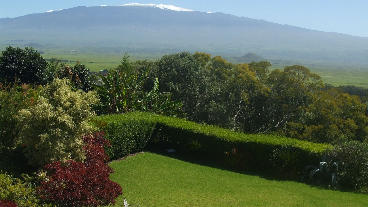 Photo of Outdoor in Waimea