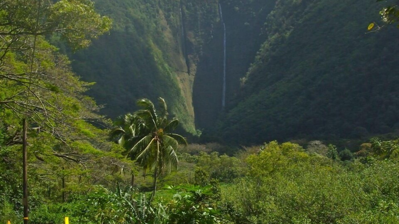 Photo of Outdoor in Waimea