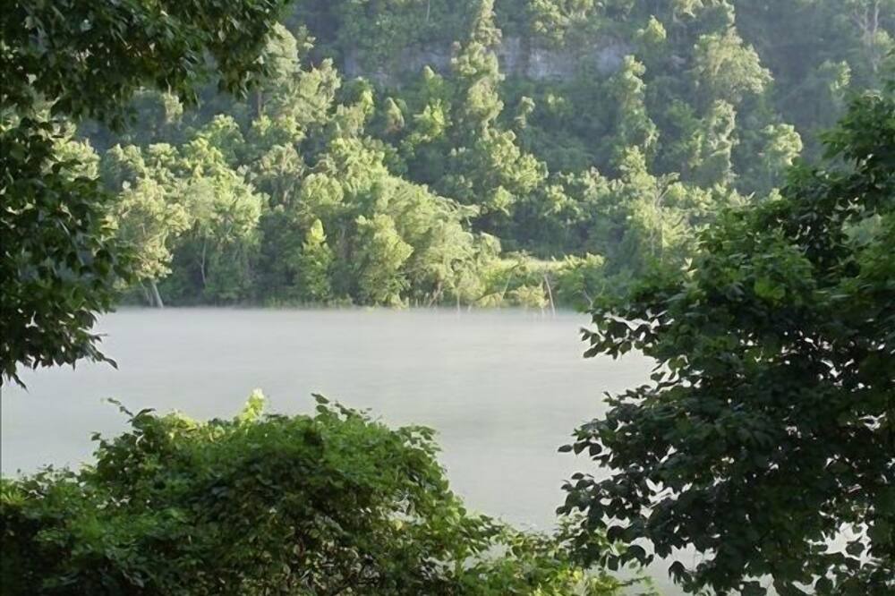Photo of Others in Lakeview