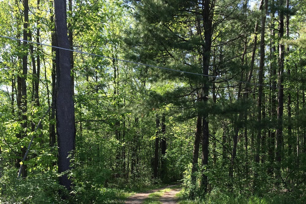 Photo of Others in Chazy