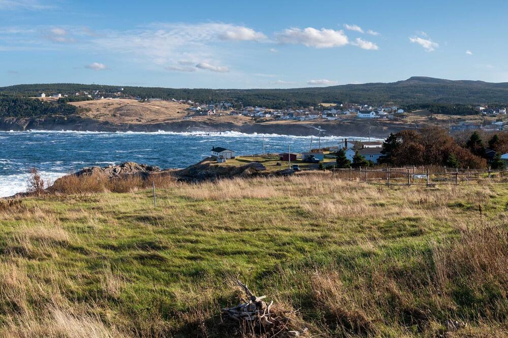 Photo of Others in Pouch Cove