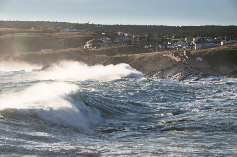 Photo of Others in Pouch Cove