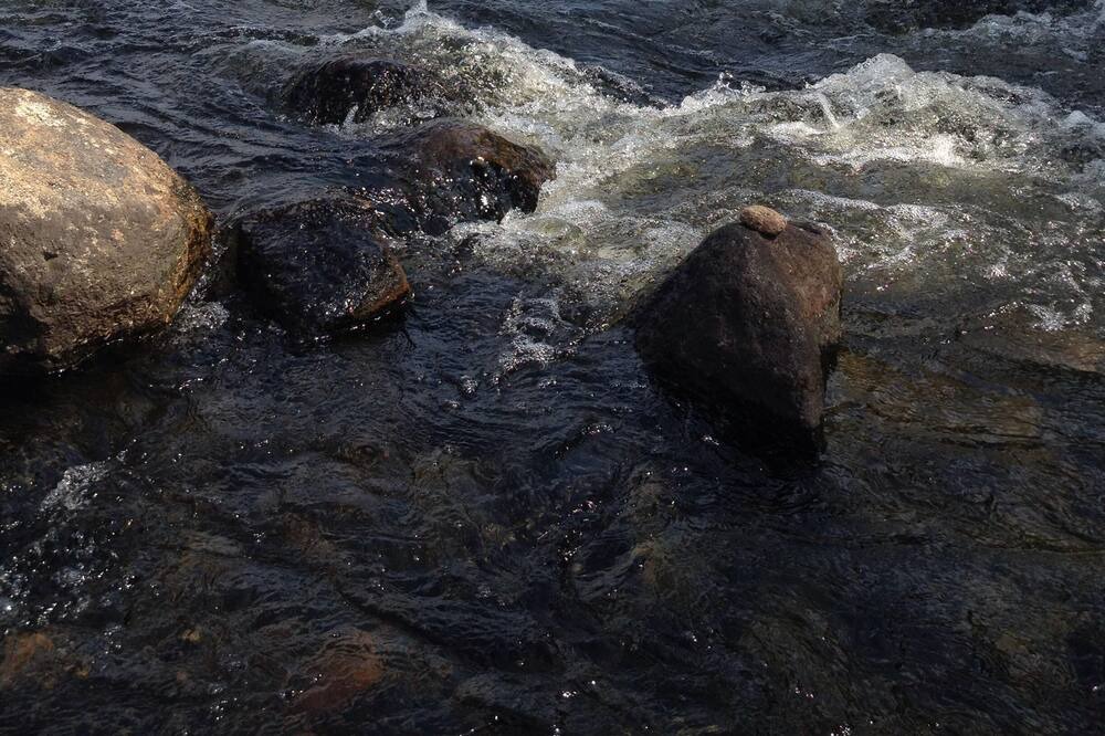 Photo of Others in Kenora