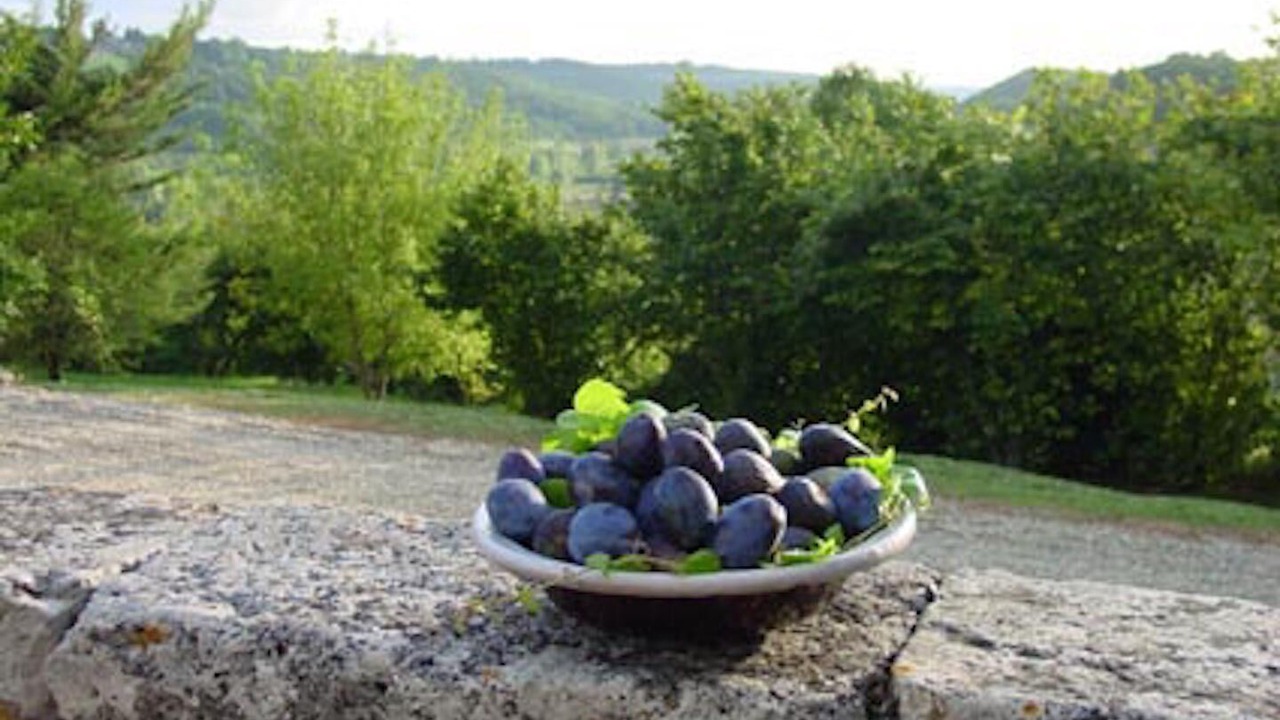 Photo of Outdoor in Fregimont