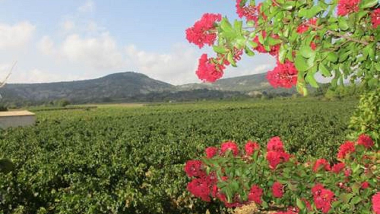 Photo of Outdoor in Pompignan