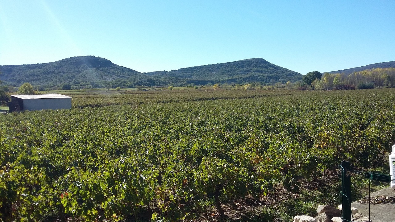 Photo of Others in Pompignan