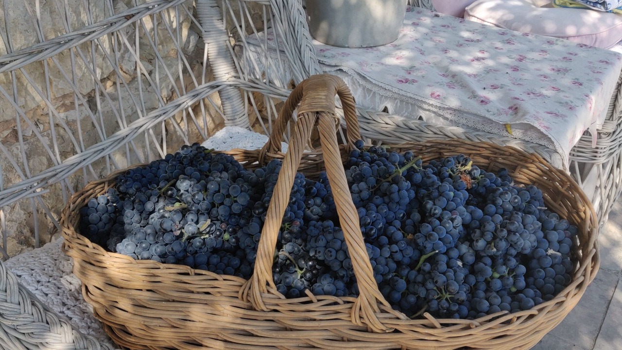 Photo of Others in Le Collet