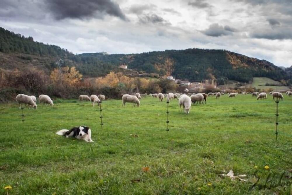 Photo of Outdoor in Ibilcieta