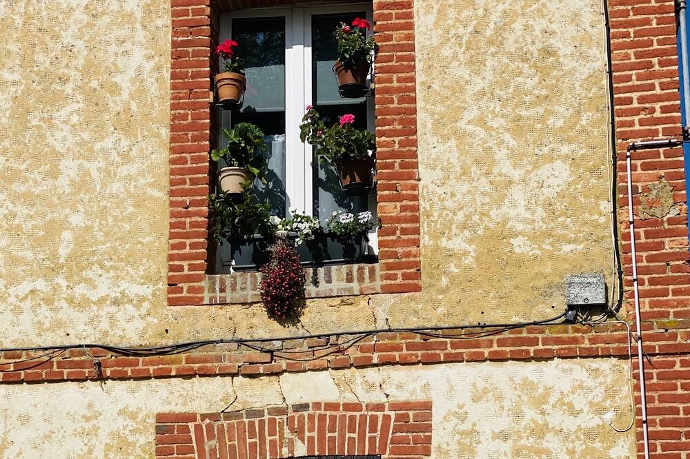 Photo of Outdoor in Soligny-la-Trappe