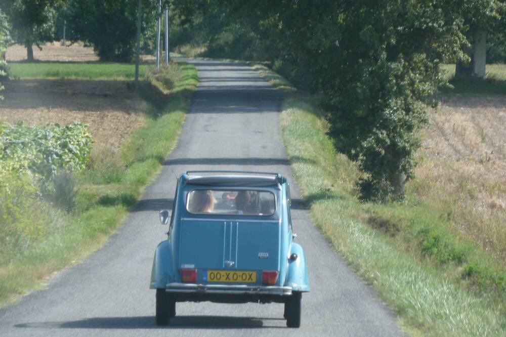 Photo of Others in Soupex