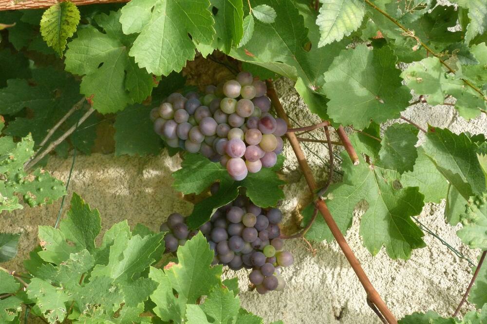 Photo of Outdoor in Marliac