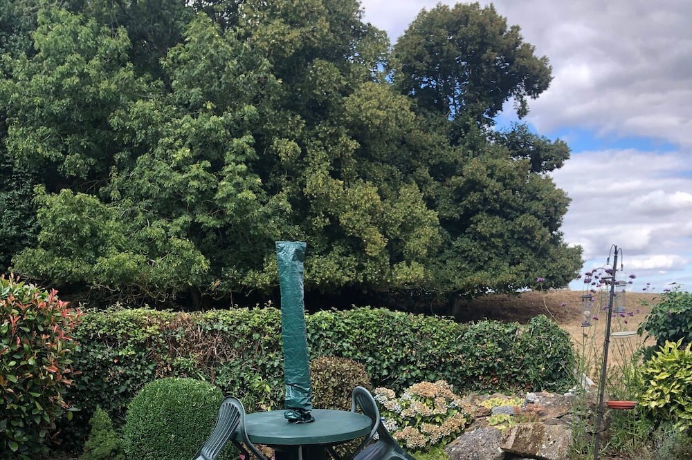 Photo of Outdoor in Segrie-Fontaine