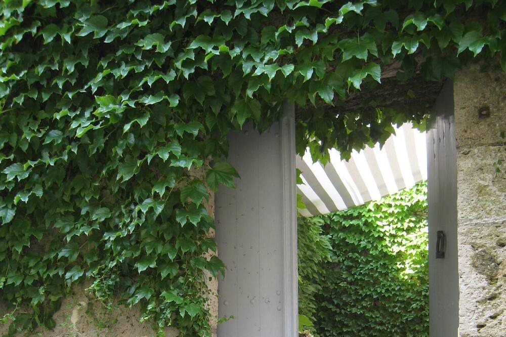 Photo of Outdoor in Puymirol